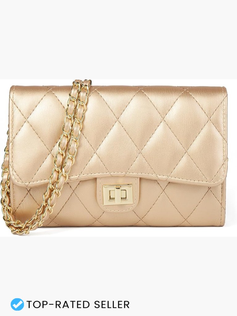 Quilted Chain Crossbody Bag Small Shoulder Purse With Multiple Card Slots